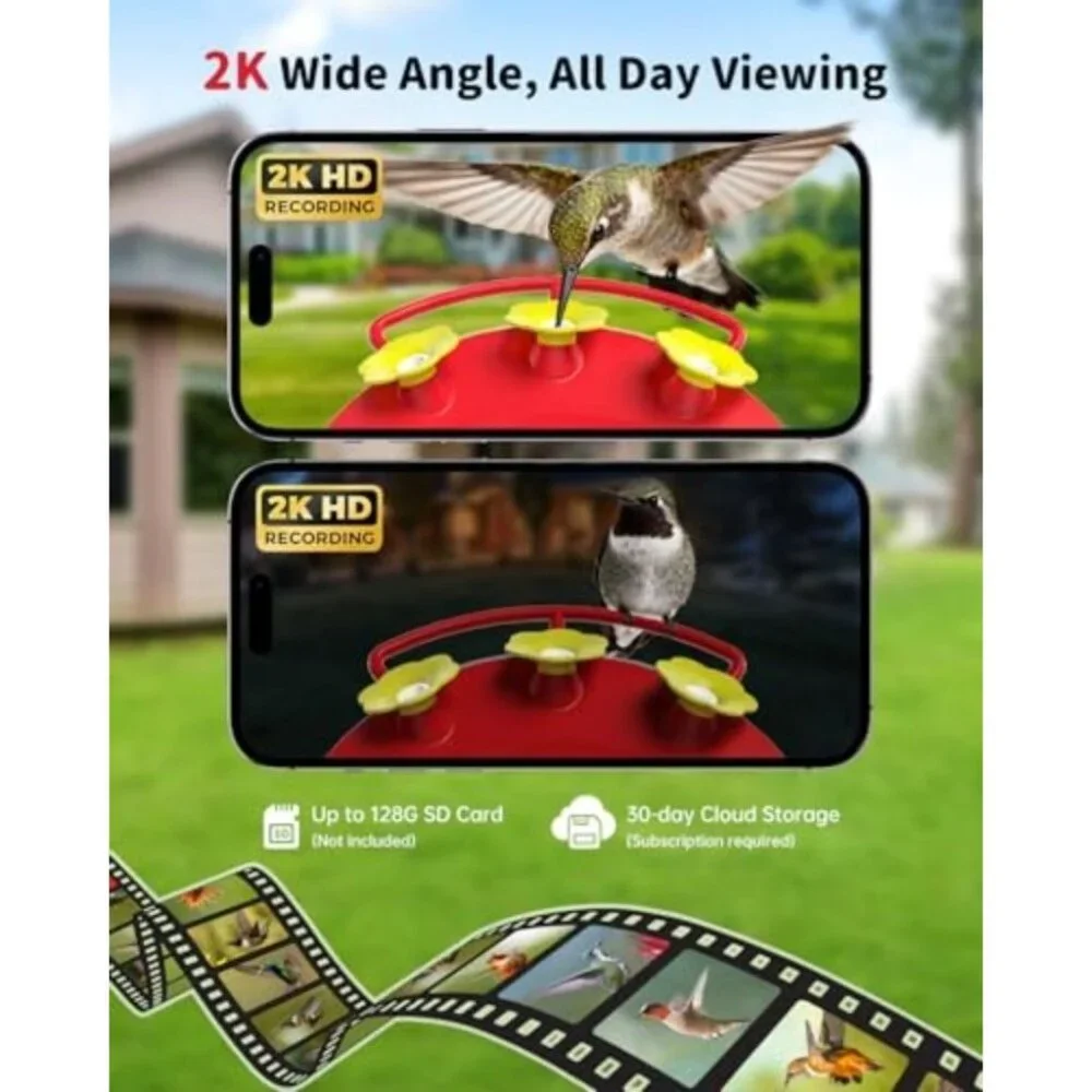 Smart Hummingbird Feeder with Camera Solar Powered for Outdoors IP66 Waterproof